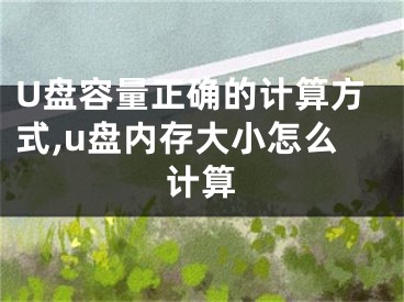 U盘容量正确的计算方式,u盘内存大小怎么计算