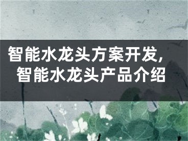 智能水龙头方案开发,智能水龙头产品介绍