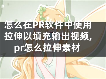 怎么在PR软件中使用拉伸以填充输出视频,pr怎么拉伸素材