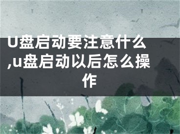 U盘启动要注意什么 ,u盘启动以后怎么操作