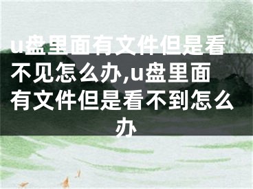 u盘里面有文件但是看不见怎么办,u盘里面有文件但是看不到怎么办