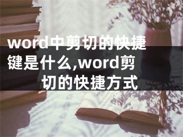word中剪切的快捷键是什么,word剪切的快捷方式