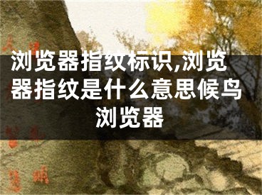 浏览器指纹标识,浏览器指纹是什么意思候鸟浏览器