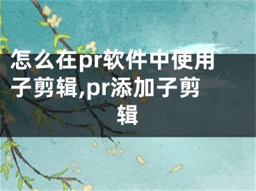 怎么在pr软件中使用子剪辑,pr添加子剪辑