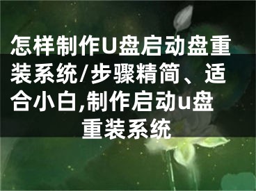 怎样制作U盘启动盘重装系统/步骤精简、适合小白,制作启动u盘重装系统