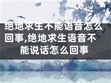 绝地求生不能语音怎么回事,绝地求生语音不能说话怎么回事