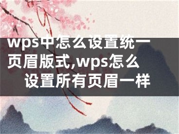wps中怎么设置统一页眉版式,wps怎么设置所有页眉一样