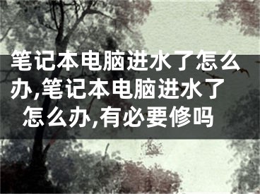 笔记本电脑进水了怎么办,笔记本电脑进水了怎么办,有必要修吗