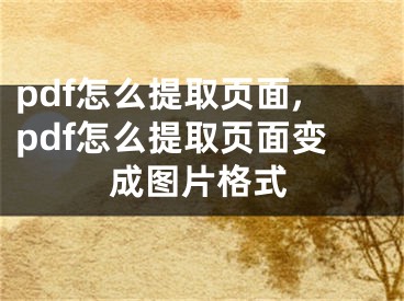 pdf怎么提取页面,pdf怎么提取页面变成图片格式