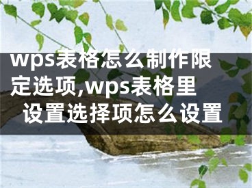wps表格怎么制作限定选项,wps表格里设置选择项怎么设置