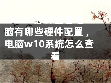 win10怎样查看电脑有哪些硬件配置 ,电脑w10系统怎么查看