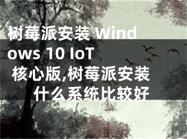 树莓派安装 Windows 10 IoT 核心版,树莓派安装什么系统比较好