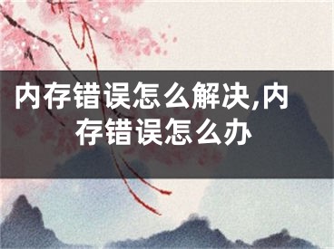 内存错误怎么解决,内存错误怎么办