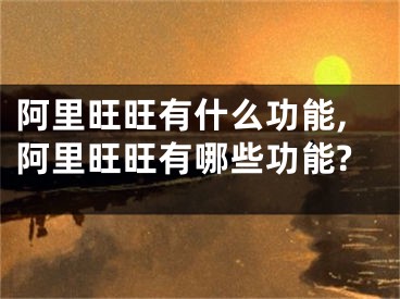 阿里旺旺有什么功能,阿里旺旺有哪些功能?
