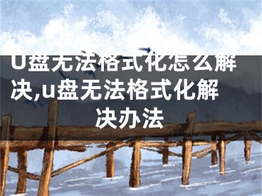 U盘无法格式化怎么解决,u盘无法格式化解决办法