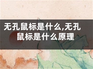 无孔鼠标是什么,无孔鼠标是什么原理