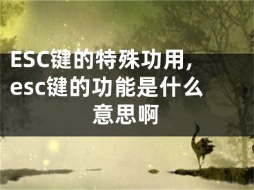 ESC键的特殊功用,esc键的功能是什么意思啊