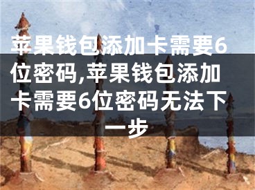 苹果钱包添加卡需要6位密码,苹果钱包添加卡需要6位密码无法下一步