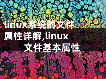 linux系统的文件属性详解,linux文件基本属性