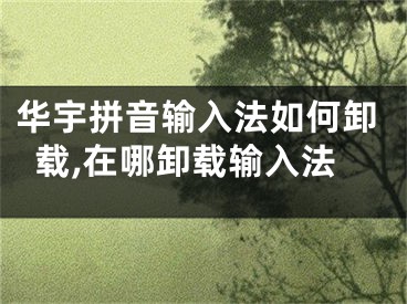 华宇拼音输入法如何卸载,在哪卸载输入法