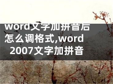 word文字加拼音后怎么调格式,word2007文字加拼音