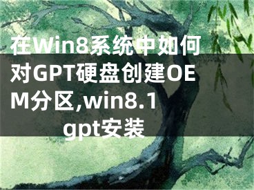 在Win8系统中如何对GPT硬盘创建OEM分区,win8.1 gpt安装
