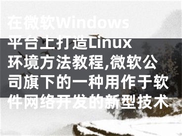 在微软Windows平台上打造Linux环境方法教程,微软公司旗下的一种用作于软件网络开发的新型技术
