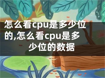 怎么看cpu是多少位的,怎么看cpu是多少位的数据
