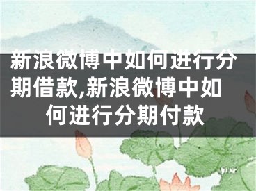 新浪微博中如何进行分期借款,新浪微博中如何进行分期付款