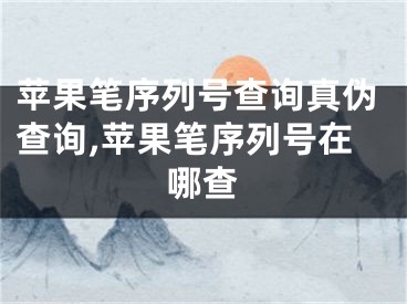 苹果笔序列号查询真伪查询,苹果笔序列号在哪查