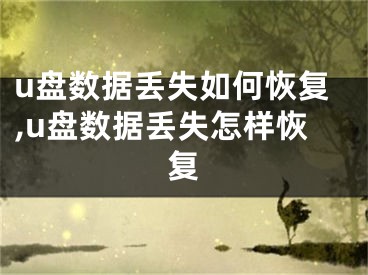 u盘数据丢失如何恢复,u盘数据丢失怎样恢复