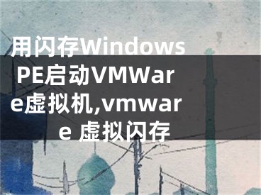 用闪存Windows PE启动VMWare虚拟机,vmware 虚拟闪存