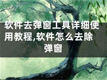 软件去弹窗工具详细使用教程,软件怎么去除弹窗