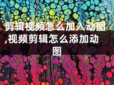 剪辑视频怎么加入动图,视频剪辑怎么添加动图