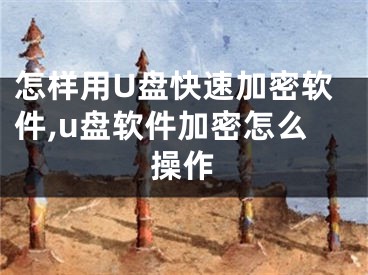 怎样用U盘快速加密软件,u盘软件加密怎么操作