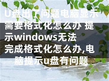U盘出了问题电脑显示需要格式化怎么办 提示windows无法完成格式化怎么办,电脑提示u盘有问题