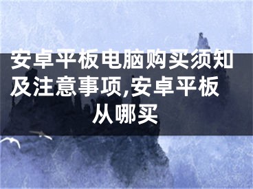 安卓平板电脑购买须知及注意事项,安卓平板从哪买