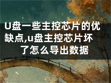 U盘一些主控芯片的优缺点,u盘主控芯片坏了怎么导出数据