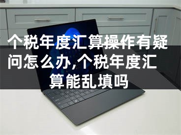 个税年度汇算操作有疑问怎么办,个税年度汇算能乱填吗