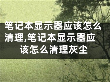 笔记本显示器应该怎么清理,笔记本显示器应该怎么清理灰尘