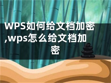 WPS如何给文档加密,wps怎么给文档加密