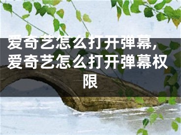 爱奇艺怎么打开弹幕,爱奇艺怎么打开弹幕权限
