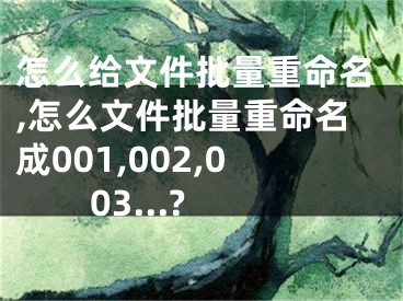 怎么给文件批量重命名,怎么文件批量重命名成001,002,003...?