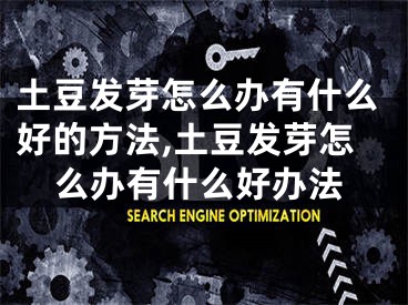 土豆发芽怎么办有什么好的方法,土豆发芽怎么办有什么好办法