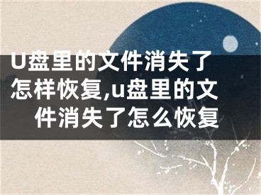 U盘里的文件消失了 怎样恢复,u盘里的文件消失了怎么恢复