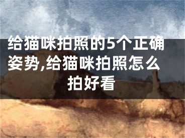 给猫咪拍照的5个正确姿势,给猫咪拍照怎么拍好看
