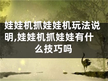 娃娃机抓娃娃机玩法说明,娃娃机抓娃娃有什么技巧吗