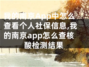 我的南京App中怎么查看个人社保信息,我的南京app怎么查核酸检测结果