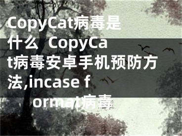 CopyCat病毒是什么  CopyCat病毒安卓手机预防方法,incase format病毒