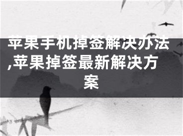 苹果手机掉签解决办法,苹果掉签最新解决方案